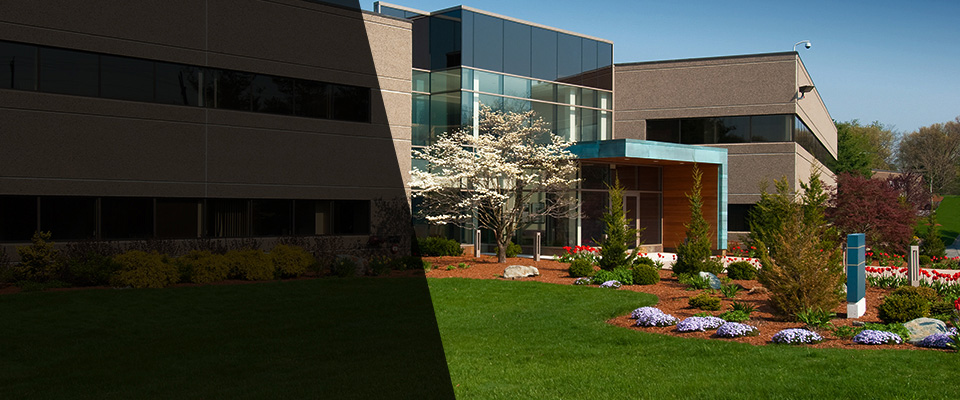 Ashburn Landscapers