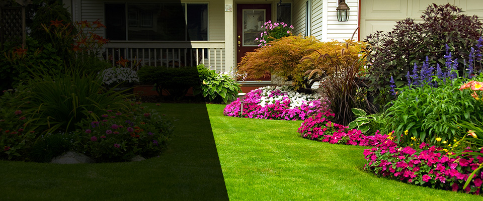 Ashburn Landscapers